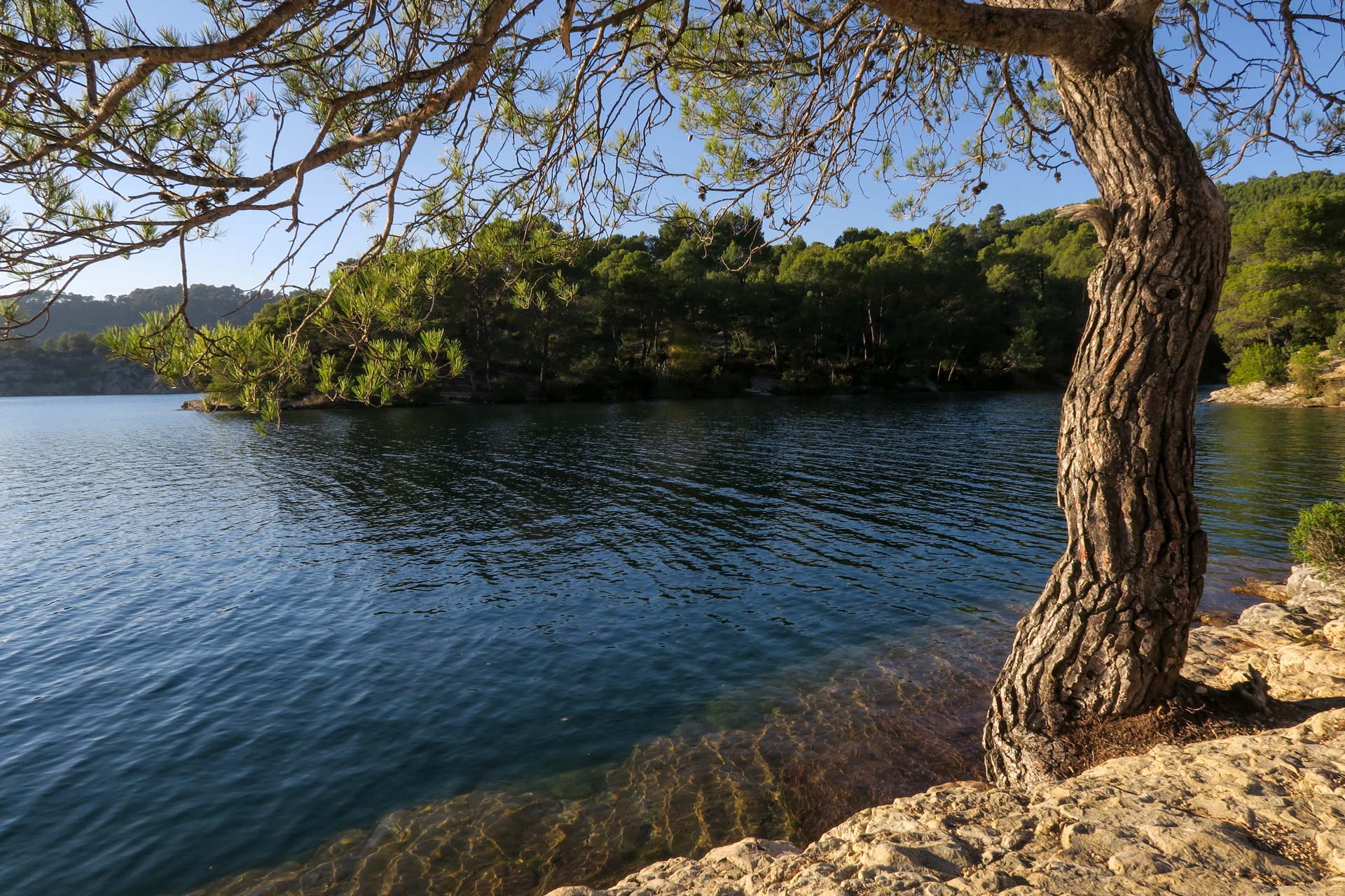 une des nombreuses criques du lac d'Esparron