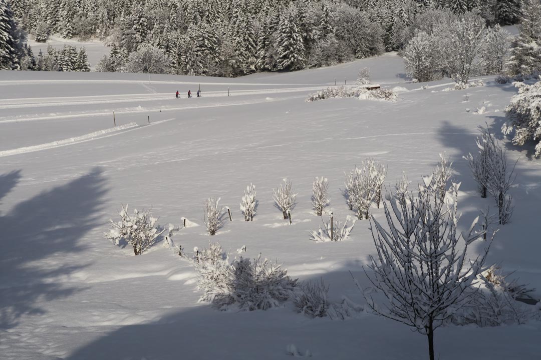 Gite Autrans Vercors